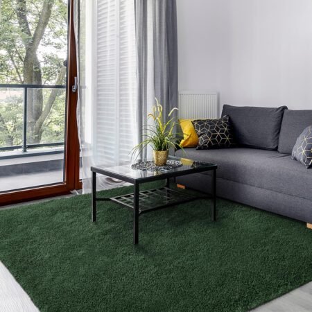 Area Rugs for Bedroom Living Room, 3x5 ft Solid Fluffy gy Dark Rug, Small Washable Non-Slip Soft Throw Carpet for Kids Nursery and Home Decor, Forest Green