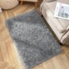 Area Rugs for Bedroom, 2x3 Door Mat Washable Small Grey Bedside Rug,Fluffy gy Entryway Rugs for Living Room,  Indoor Floor Carpet for Kids Boy and Girls, Home Decor Aesthetic