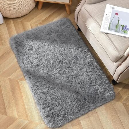 Area Rugs for Bedroom, 2x3 Door Mat Washable Small Grey Bedside Rug,Fluffy gy Entryway Rugs for Living Room,  Indoor Floor Carpet for Kids Boy and Girls, Home Decor Aesthetic